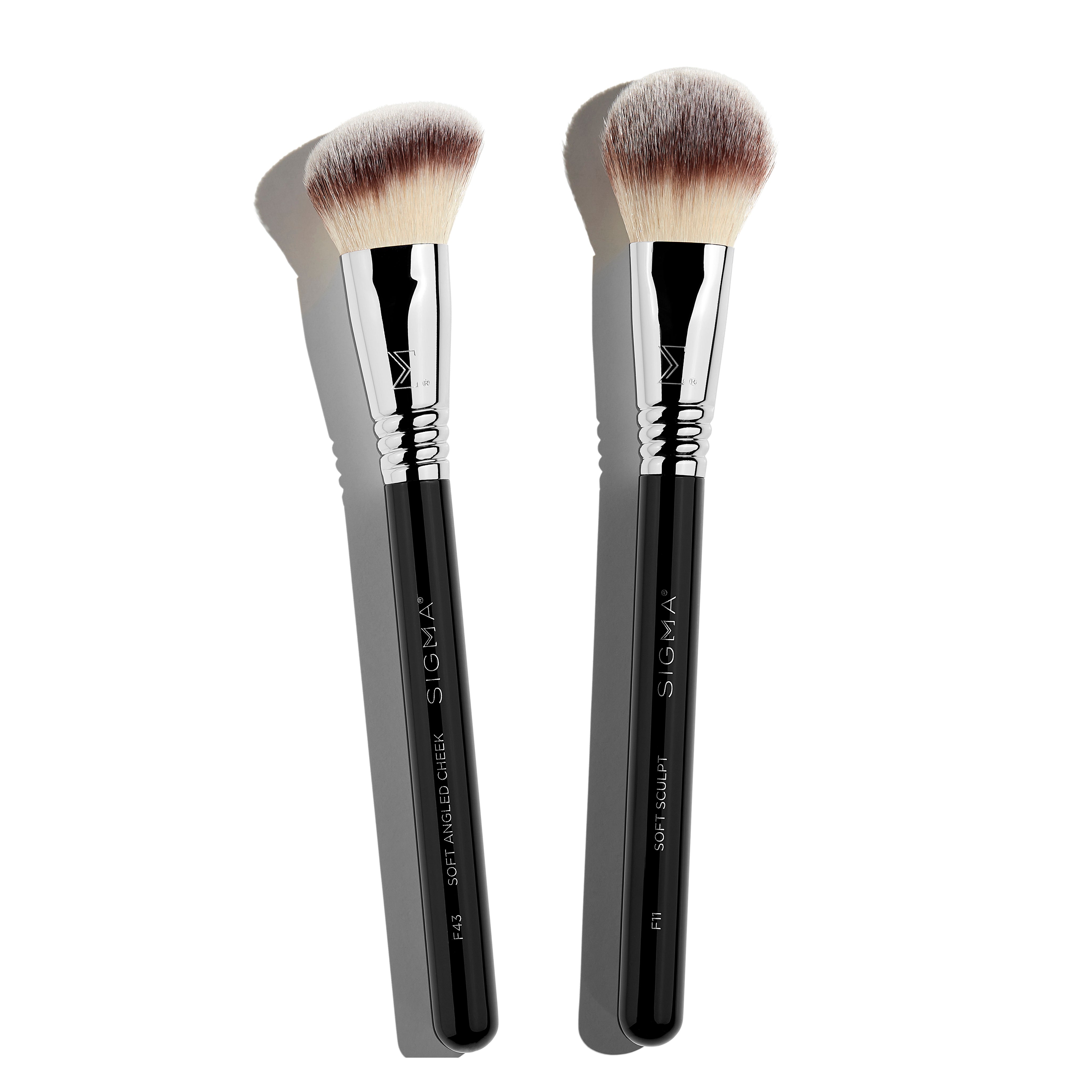 Blush Blocking Brush Set
