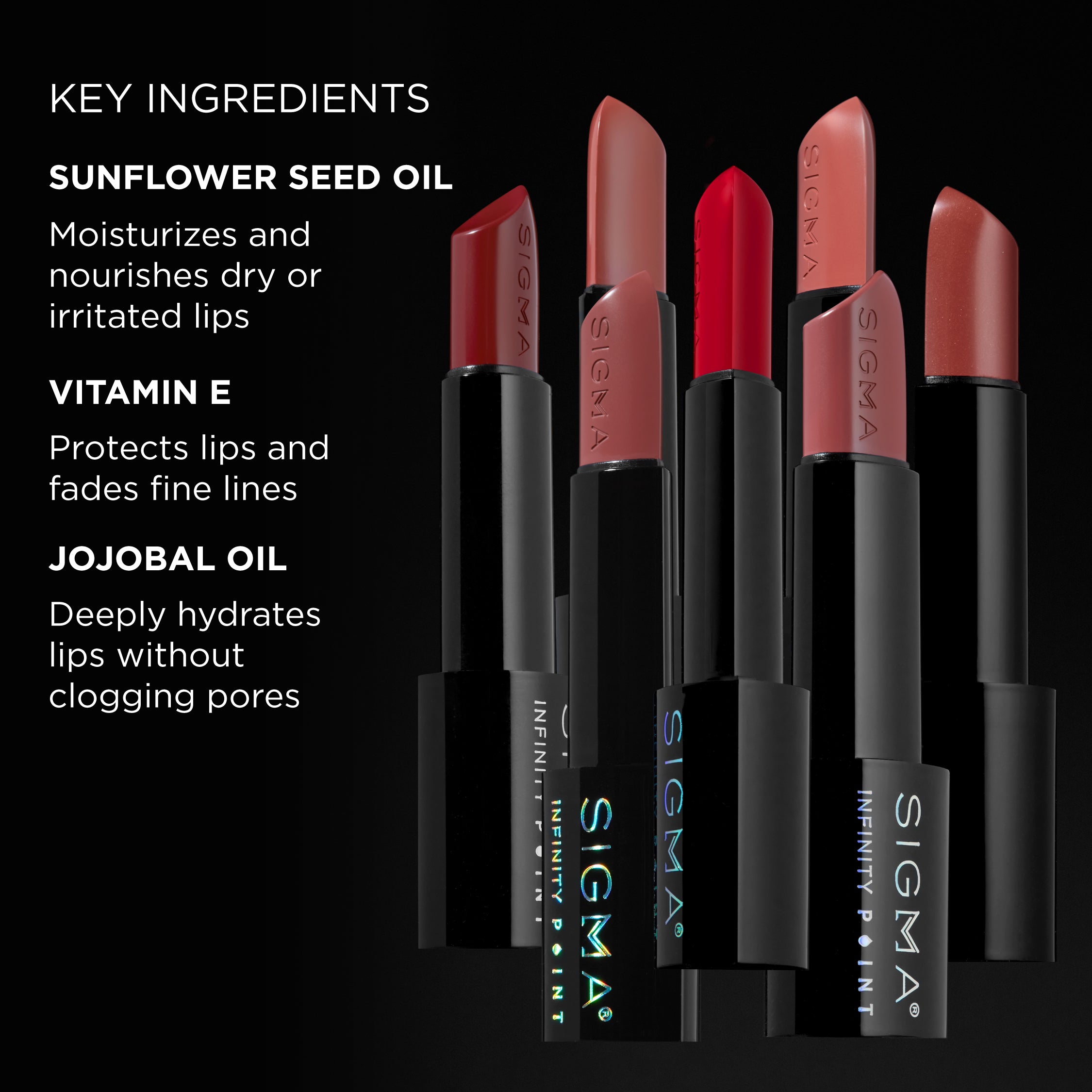 INFINITY POINT LIPSTICK KEY INGREDIENTS
