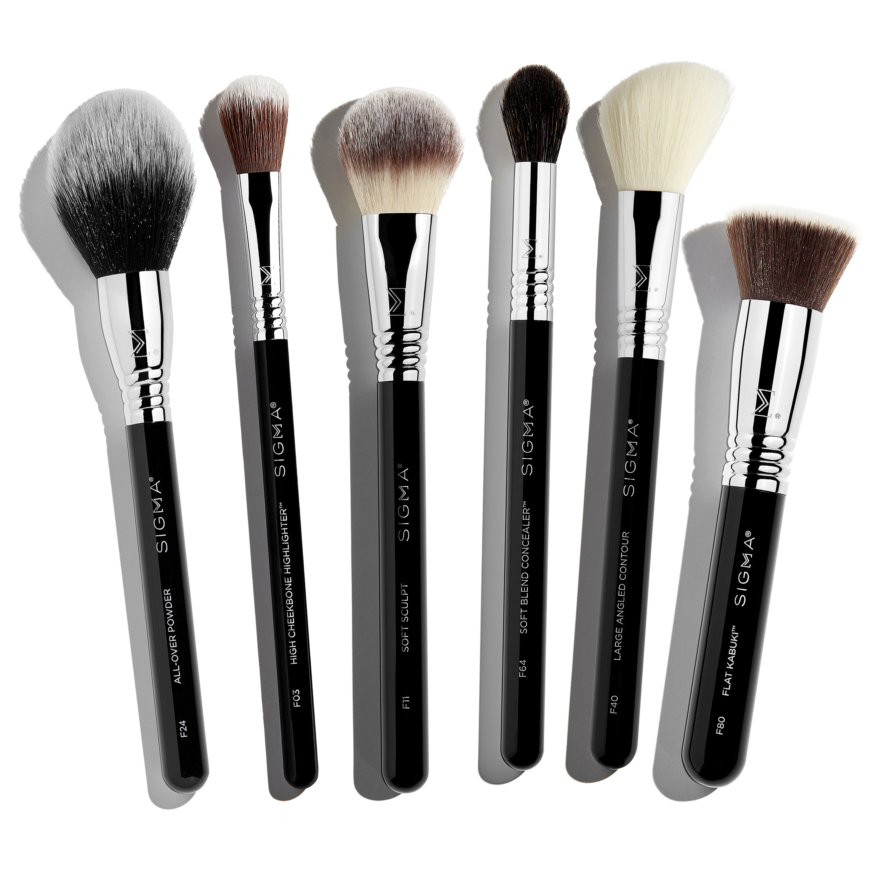Sigma Starter Face Brush Set