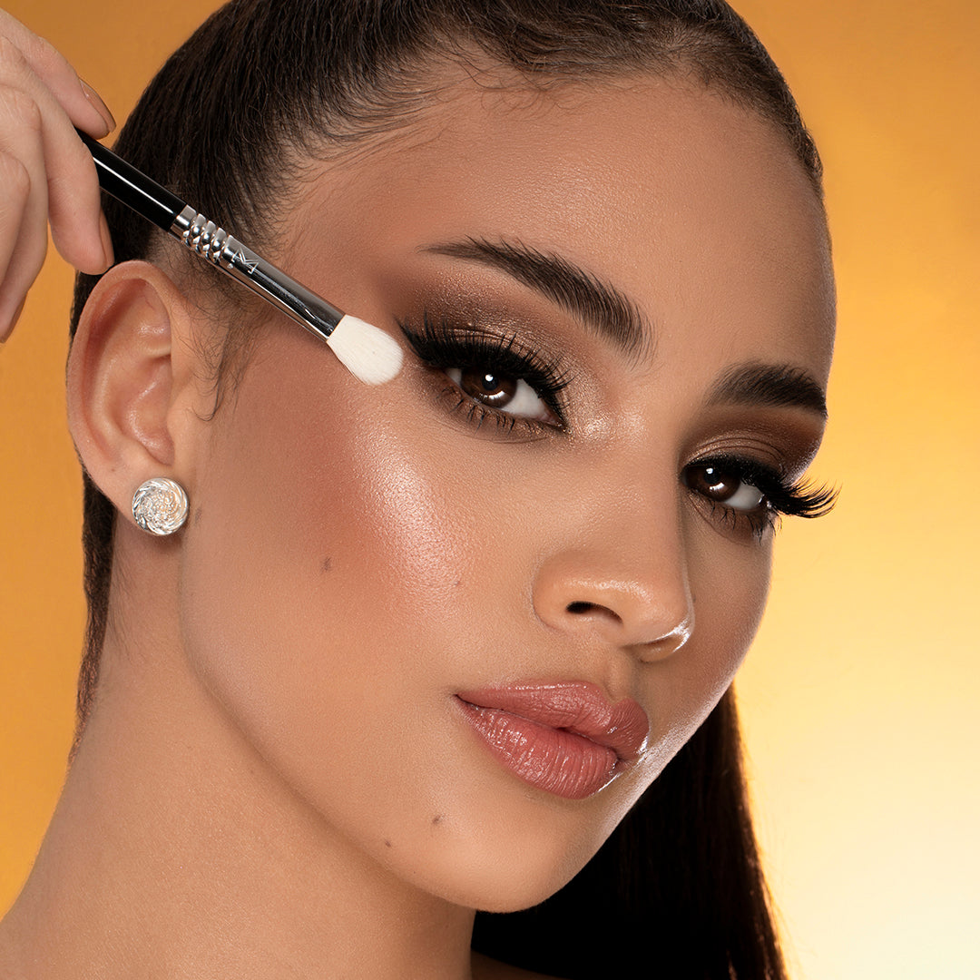 E24 DIFFUSED BLEND™ BRUSH MODEL IMAGE