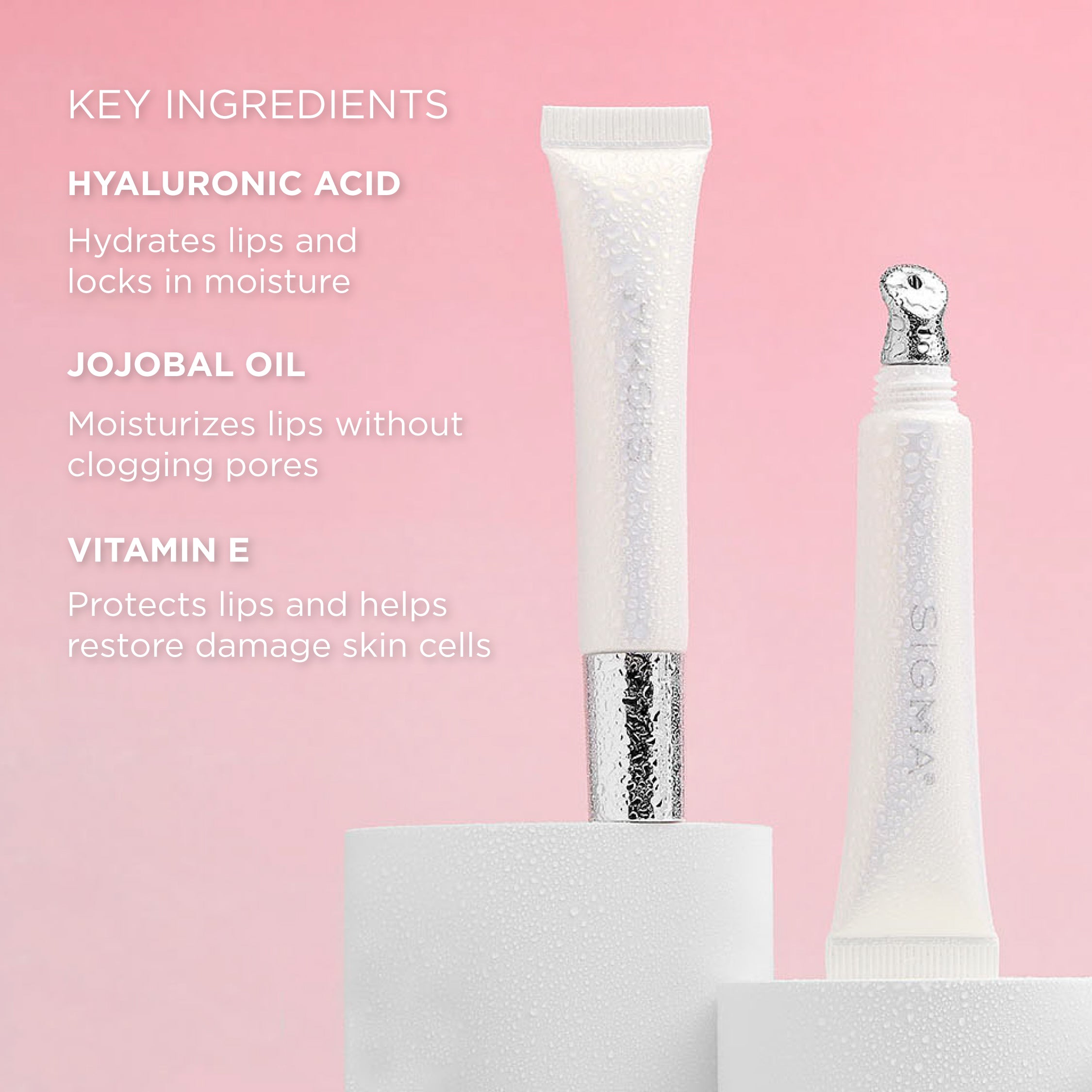 Lip Mask Key Ingredients