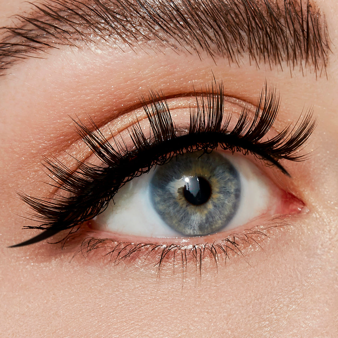 PARAMOUR FALSE LASHES