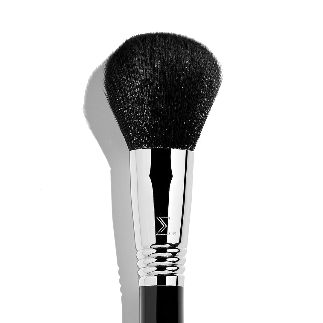 ‍F30 Large Powder Brush (100% off)