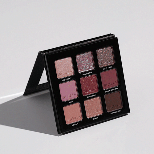 ELECTRIC PINK EYESHADOW PALETTE