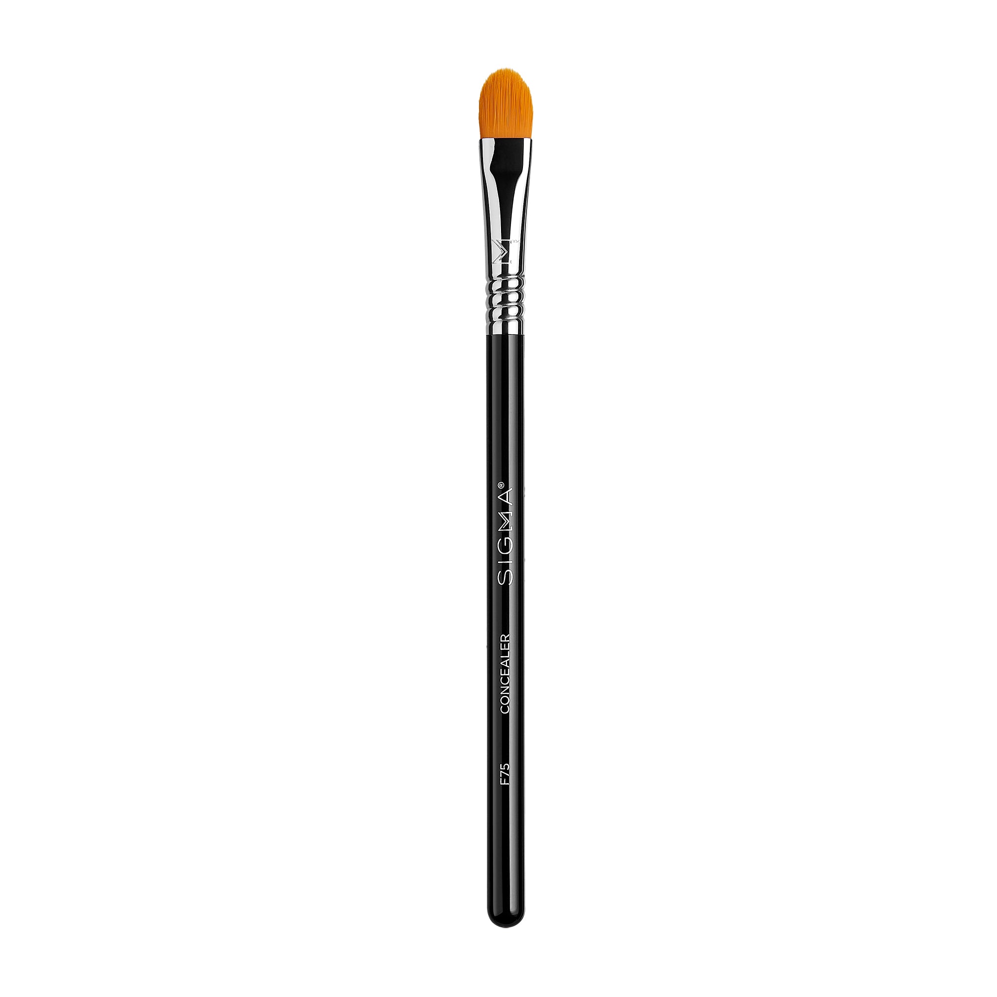 F75 Concealer Brush