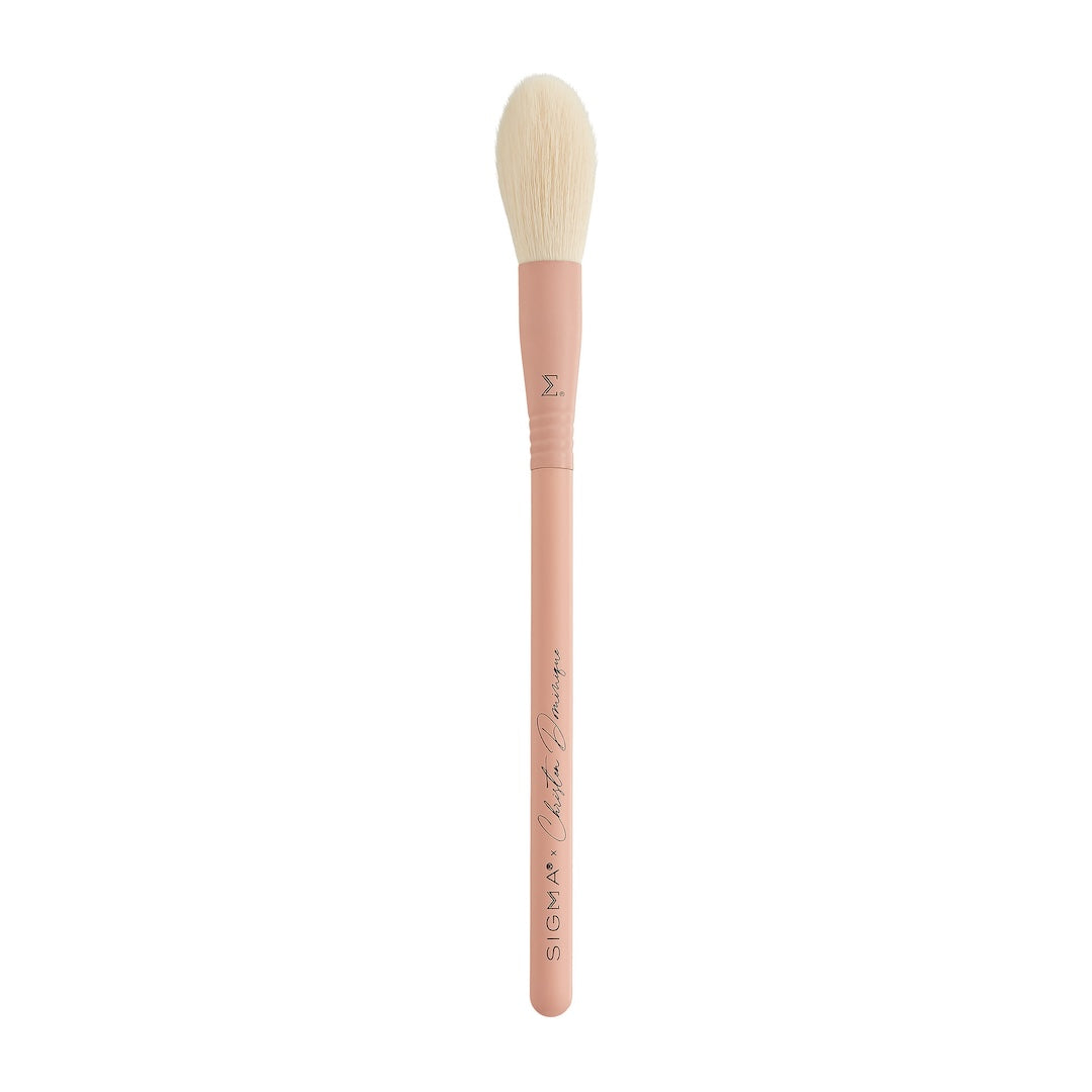 Sigma X Christen Dominique Pinselset – 6 Vegane Make-up-Pinsel, Wasserdicht & Limitierte Edition