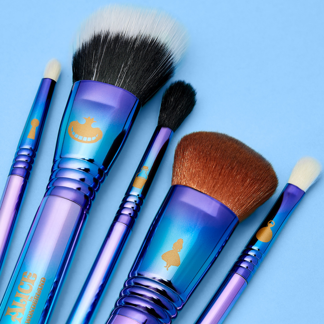 DISNEY ALICE IN WONDERLAND BRUSH SET