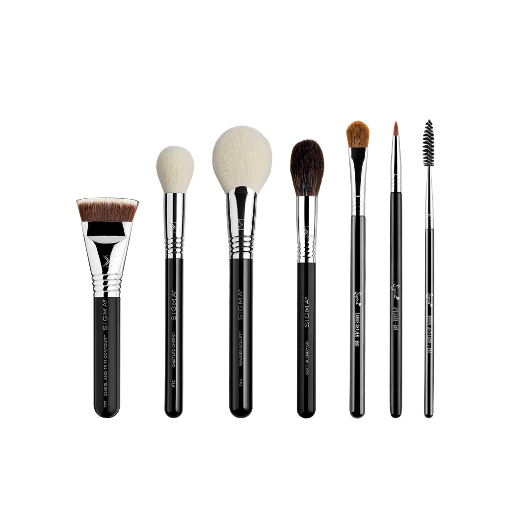 Pro Precision Brush Set