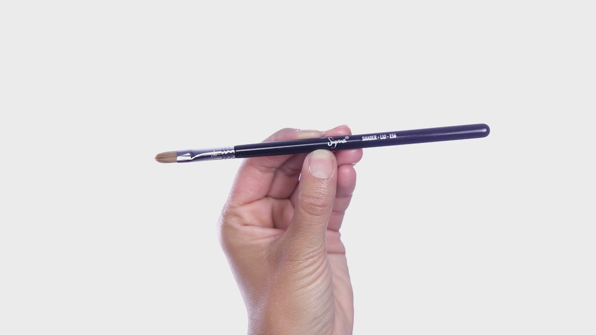 E56 SHADER - LID BRUSH 