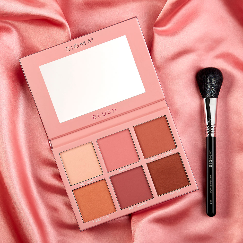 F10 Powder/Blush Brush Sigma Beauty